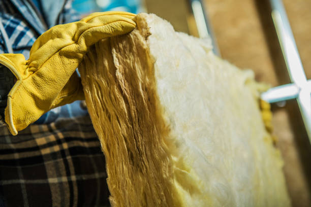 Professional Insulation Contractor in Arcola, TX