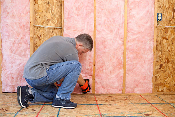 Best Eco-Friendly Insulation in Arcola, TX