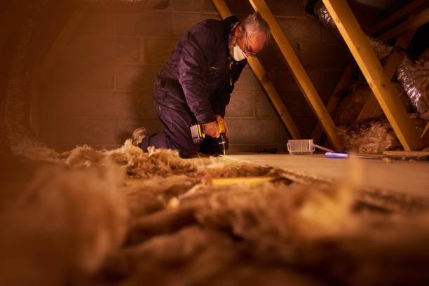 Best Insulation Maintenance and Repair in Arcola, TX